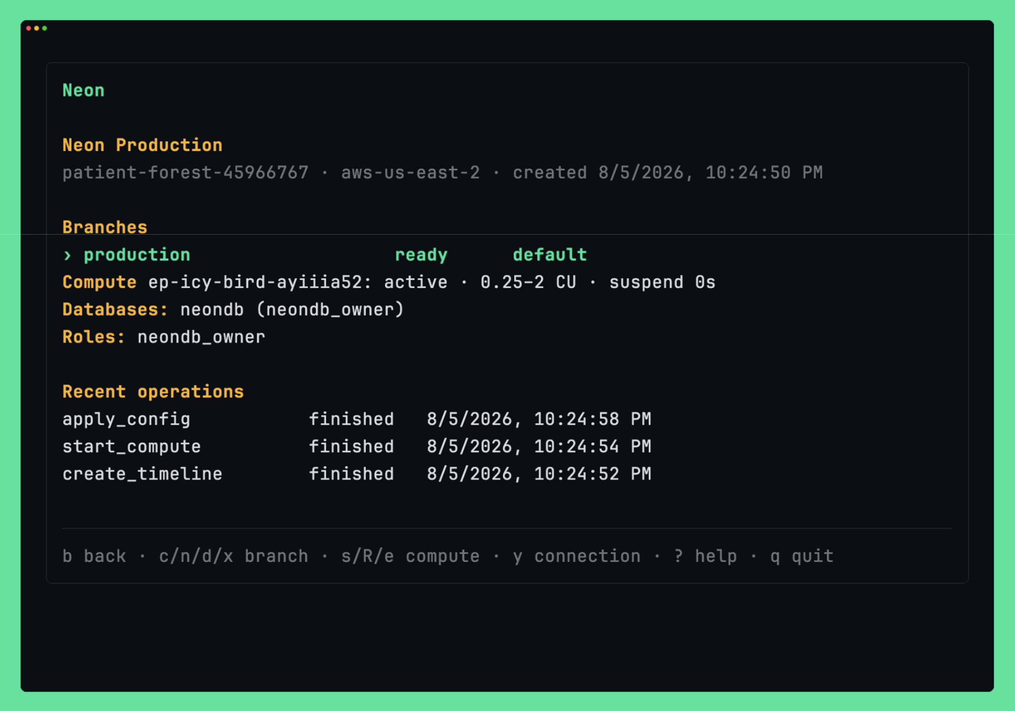 The project detail screen showing branches with their state, databases, roles, recent operations, and the compute line