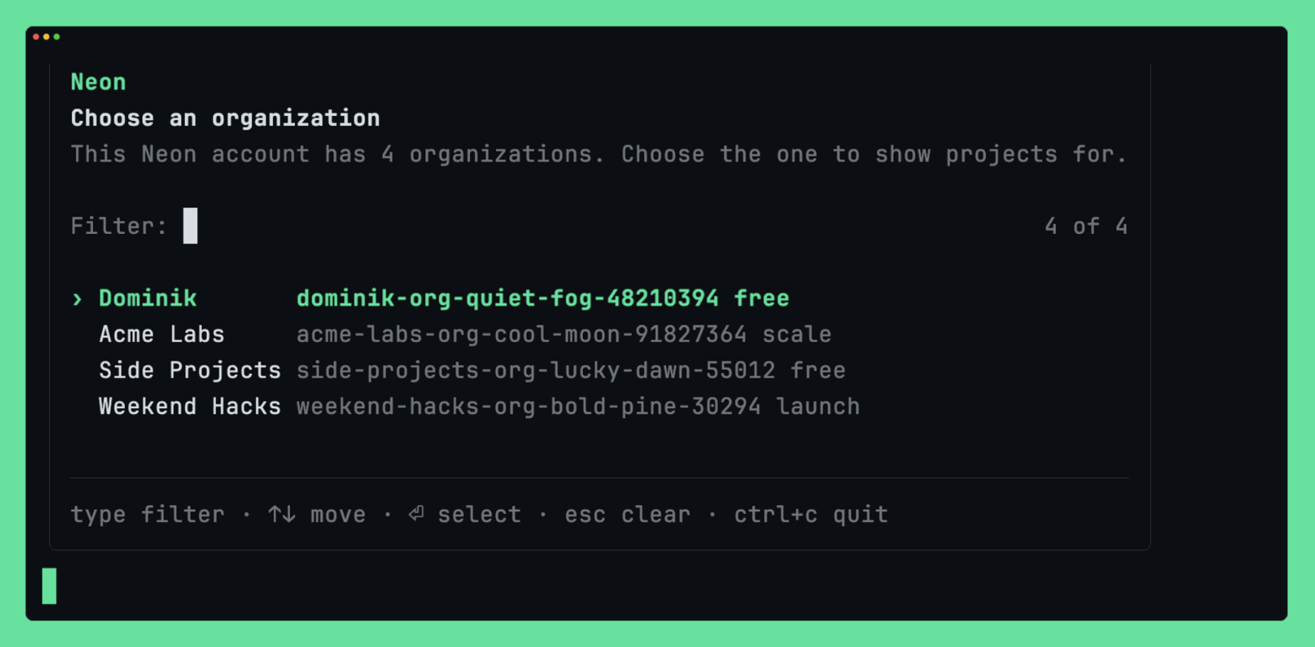 The organization picker asking which organization to use